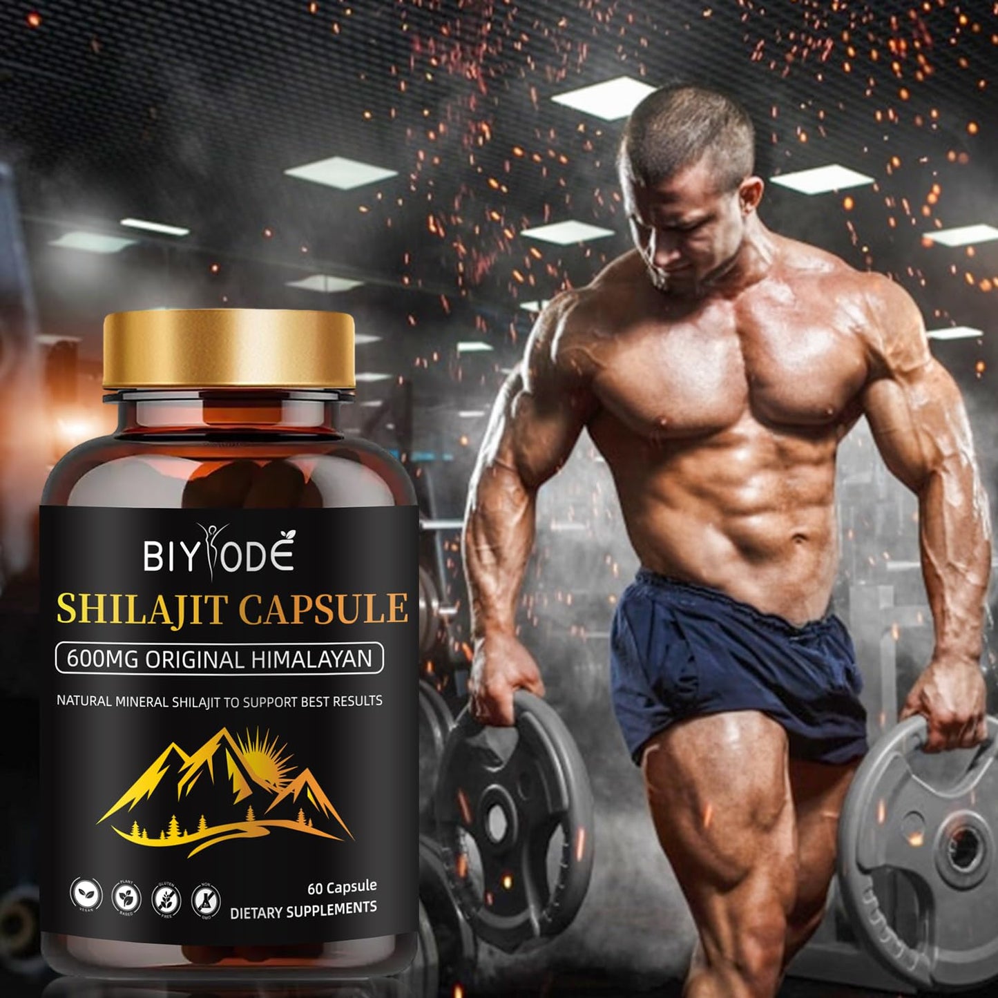Himalayan Shilajit Capsules